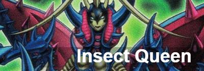 Yugioh metamorphosed insect queen