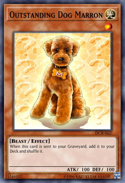 Outstanding Dog Marron Decks And Ruling YuGiOh Duel Links GameA