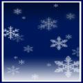 Snow Crystal Sleeves