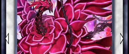 Rose Dragon