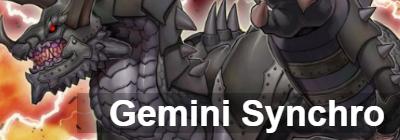 Gemini Synchro